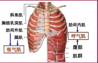 &#31859;&#20848;&#23448;&#26041;&#31449;&#32593;&#39029;&#29256;&#45;&#31859;&#20848;&#40;&#20013;&#22269;&#41;