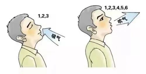 &#31859;&#20848;&#23448;&#26041;&#31449;&#32593;&#39029;&#29256;&#45;&#31859;&#20848;&#40;&#20013;&#22269;&#41;