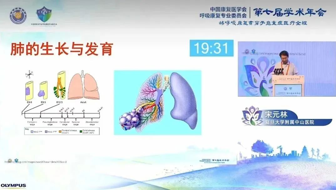 &#31859;&#20848;&#23448;&#26041;&#31449;&#32593;&#39029;&#29256;&#45;&#31859;&#20848;&#40;&#20013;&#22269;&#41;