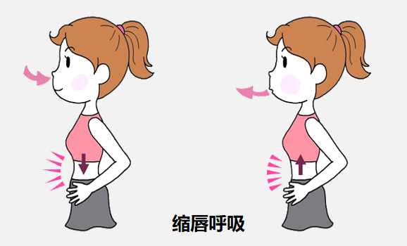 &#31859;&#20848;&#23448;&#26041;&#31449;&#32593;&#39029;&#29256;&#45;&#31859;&#20848;&#40;&#20013;&#22269;&#41;
